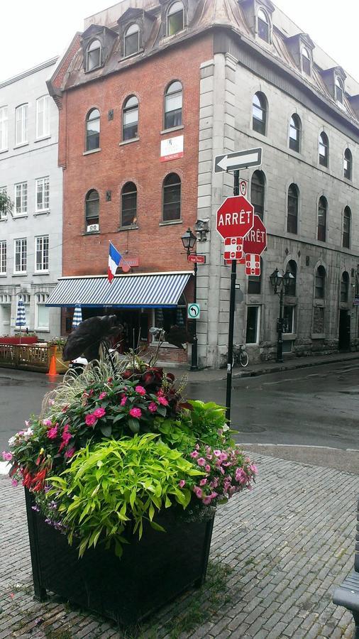 Auberge Alternative مونتريال المظهر الخارجي الصورة
